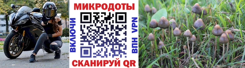 наркотики  Кизел  shop состав  Псилоцибиновые грибы ЛСД 